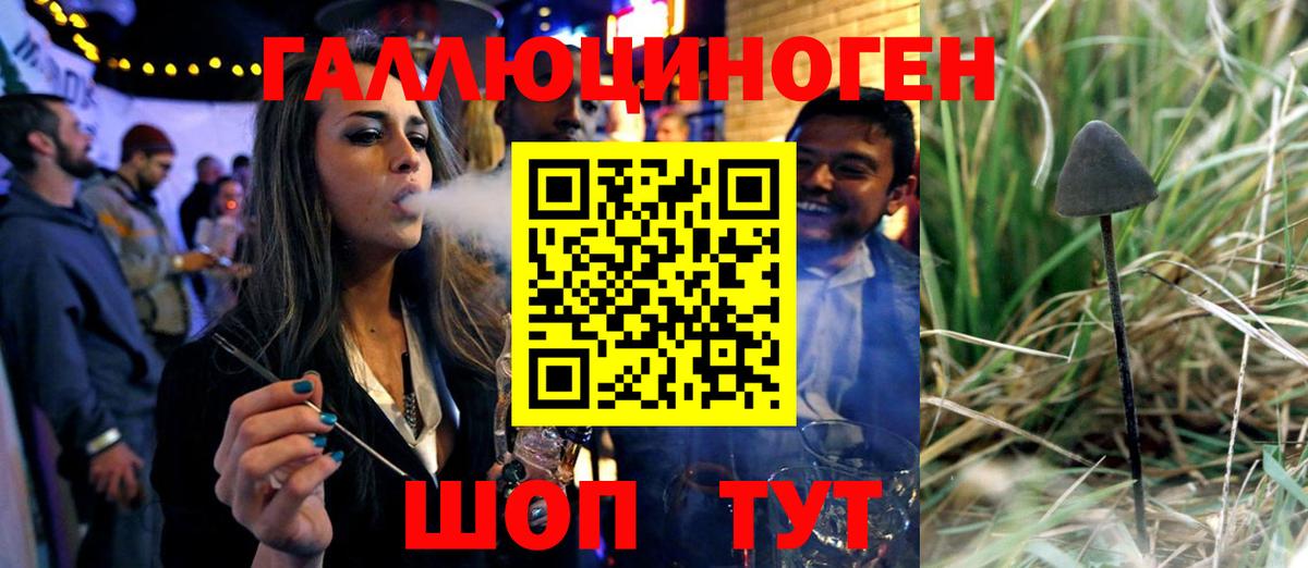 Псилоцибиновые грибы Psilocybine cubensis  Галлюциногенные грибы мицелий  Топки  Вход с VPN 
