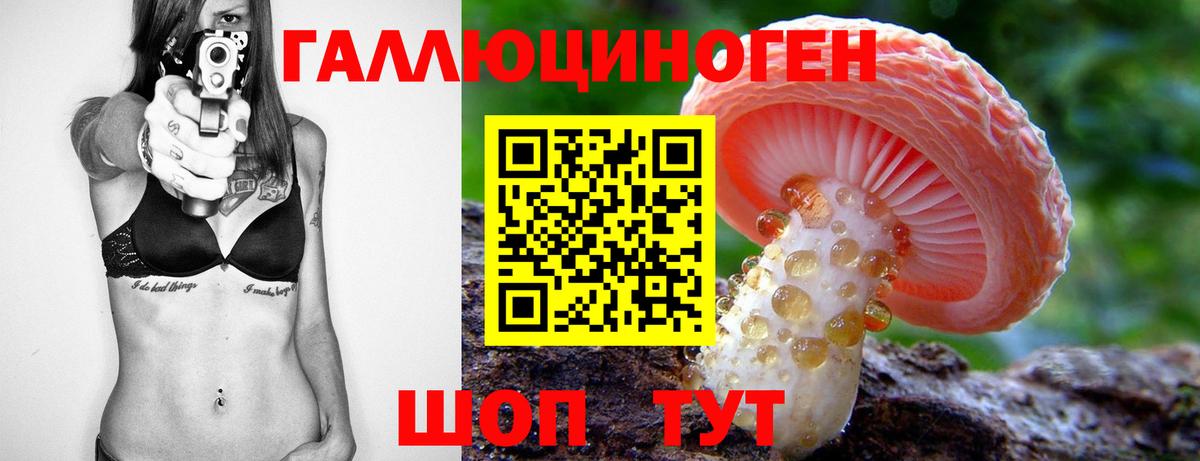 Псилоцибиновые грибы MAGIC MUSHROOMS Топки